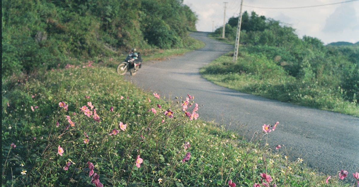 protégez votre passion pour la moto avec une assurance adaptée à vos besoins. comparez les offres d'assurance moto pour profiter d'une couverture optimale et roulez en toute sérénité.