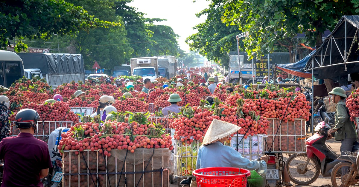 obtenez votre permis de conduire moto facilement avec nos conseils et étapes claires. découvrez les exigences, les formations et les astuces pour réussir votre examen et parcourir les routes en toute sécurité.