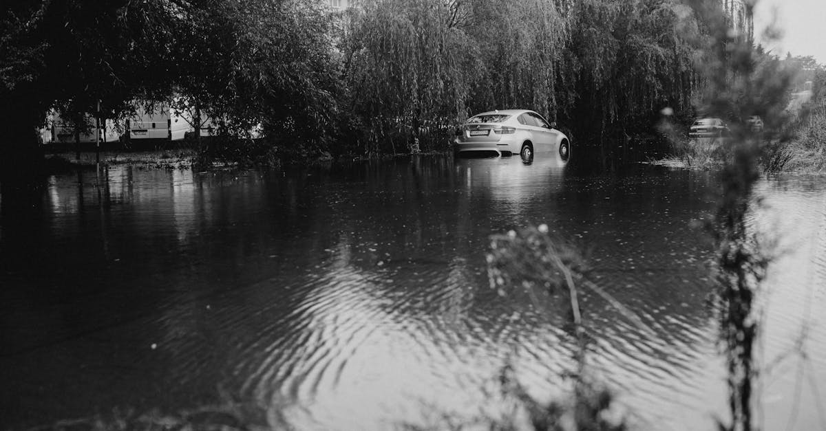 découvrez notre guide complet sur l'assurance auto en france, incluant des conseils pratiques pour choisir la meilleure couverture, comparer les prix et comprendre vos droits en tant qu'assuré.
