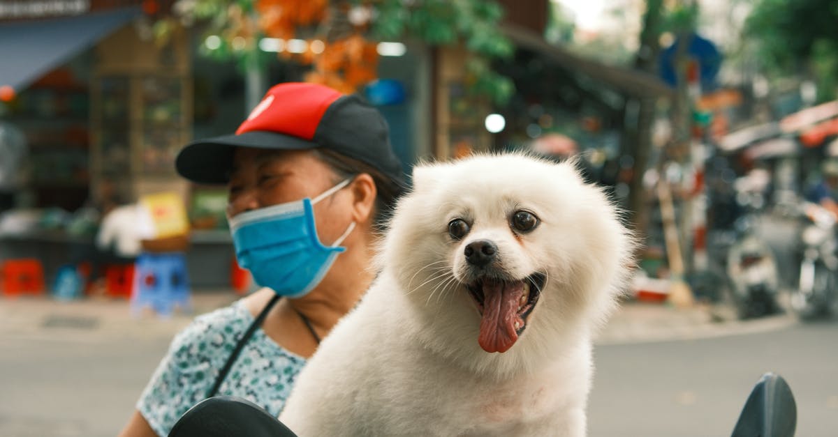 découvrez notre vaste sélection de motos, allant des modèles sportifs aux cruisers, parfaits pour tous les passionnés de deux roues. trouvez la moto idéale pour vos aventures sur route et offrez-vous la liberté de rouler.