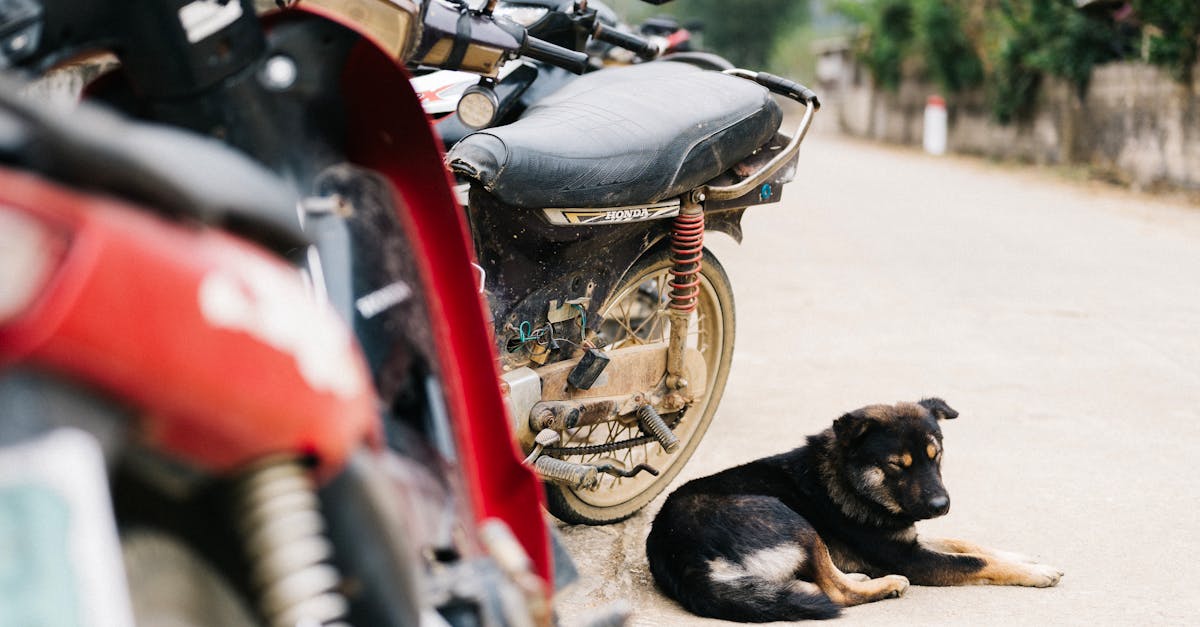 obtenez une couverture complète pour votre moto avec notre assurance moto adaptée à vos besoins. protégez votre véhicule et votre sécurité sur la route grâce à des options flexibles et des tarifs compétitifs.