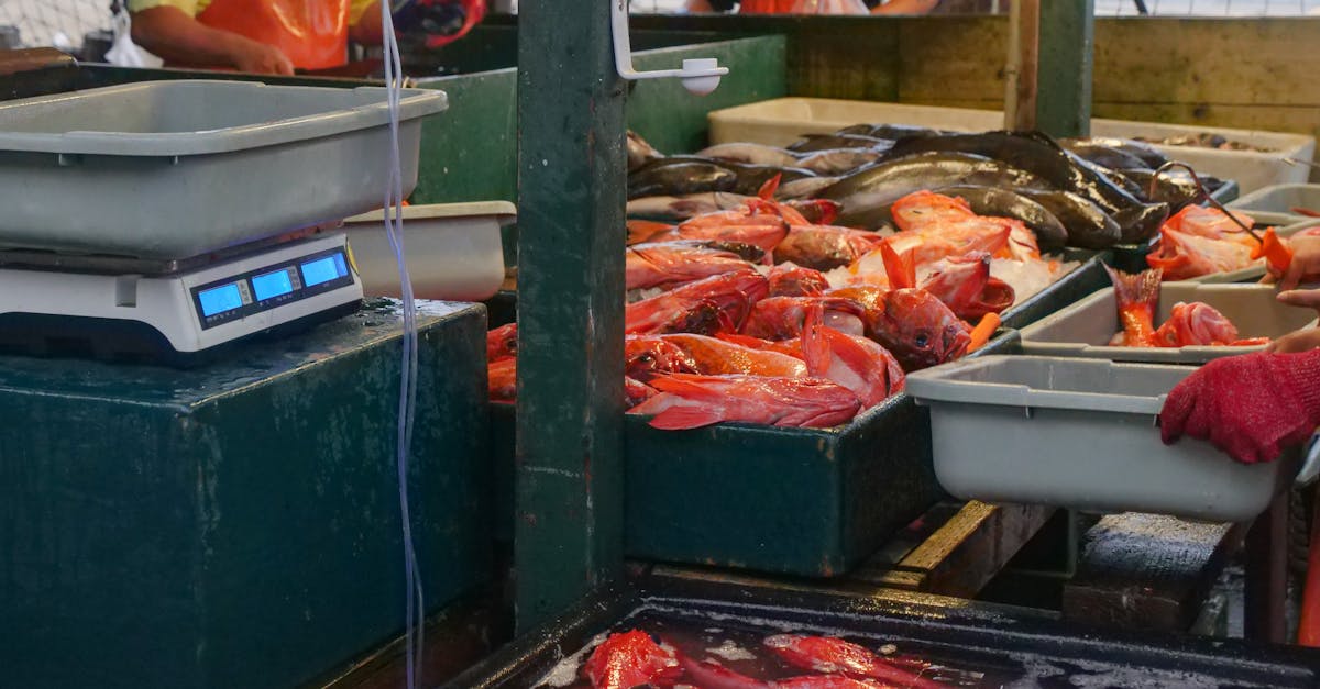 découvrez l'univers fascinant des enchères avec notre plateforme d'enchères en ligne. participez à des ventes aux enchères uniques, trouvez des objets rares et enchérissez sur vos articles préférés. que vous soyez acheteur ou vendeur, explorez un large éventail de produits, tout en bénéficiant d'une expérience sécurisée et conviviale.