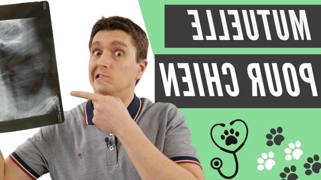 découvrez comment choisir l'assurance crédit mutuel adaptée à vos besoins. profitez de conseils pour comprendre les garanties, comparer les offres et sécuriser votre emprunt en toute sérénité.