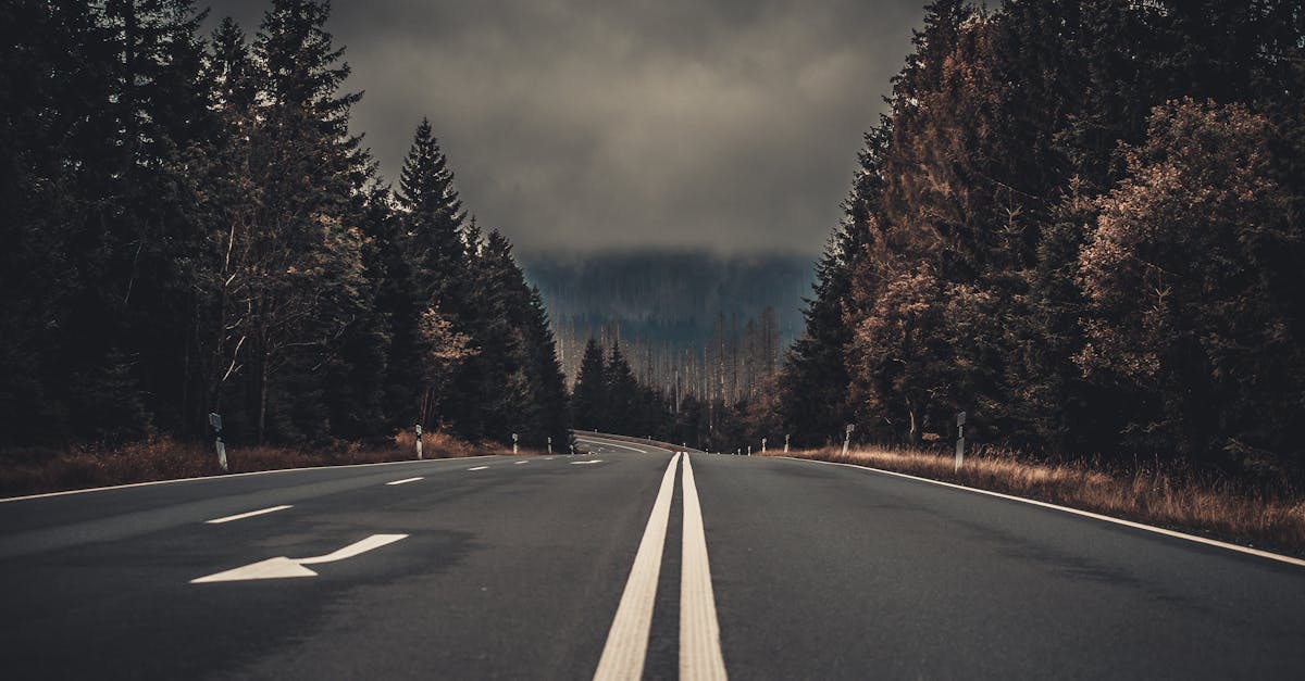 découvrez le lane splitting, une pratique de conduite qui permet aux motards de circuler entre les voies de circulation. apprenez ses avantages, sa réglementation en france et des conseils pour une pratique sécurisée.