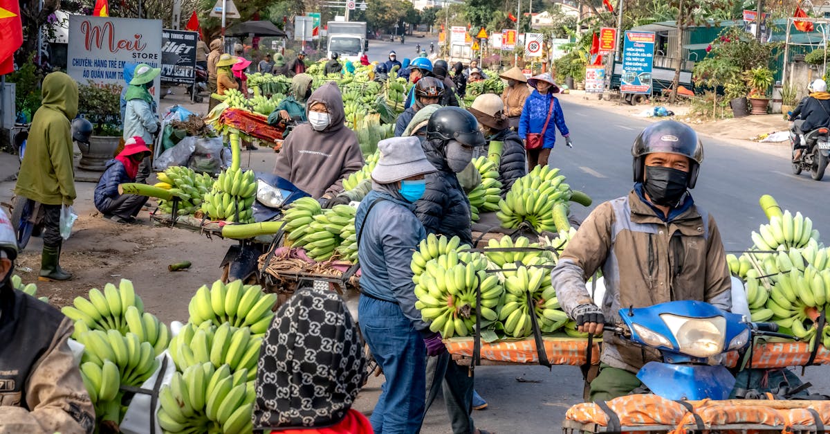 découvrez les meilleures options d'assurance moto pour protéger votre véhicule et votre sécurité sur la route. comparez les offres et choisissez la couverture adaptée à vos besoins.