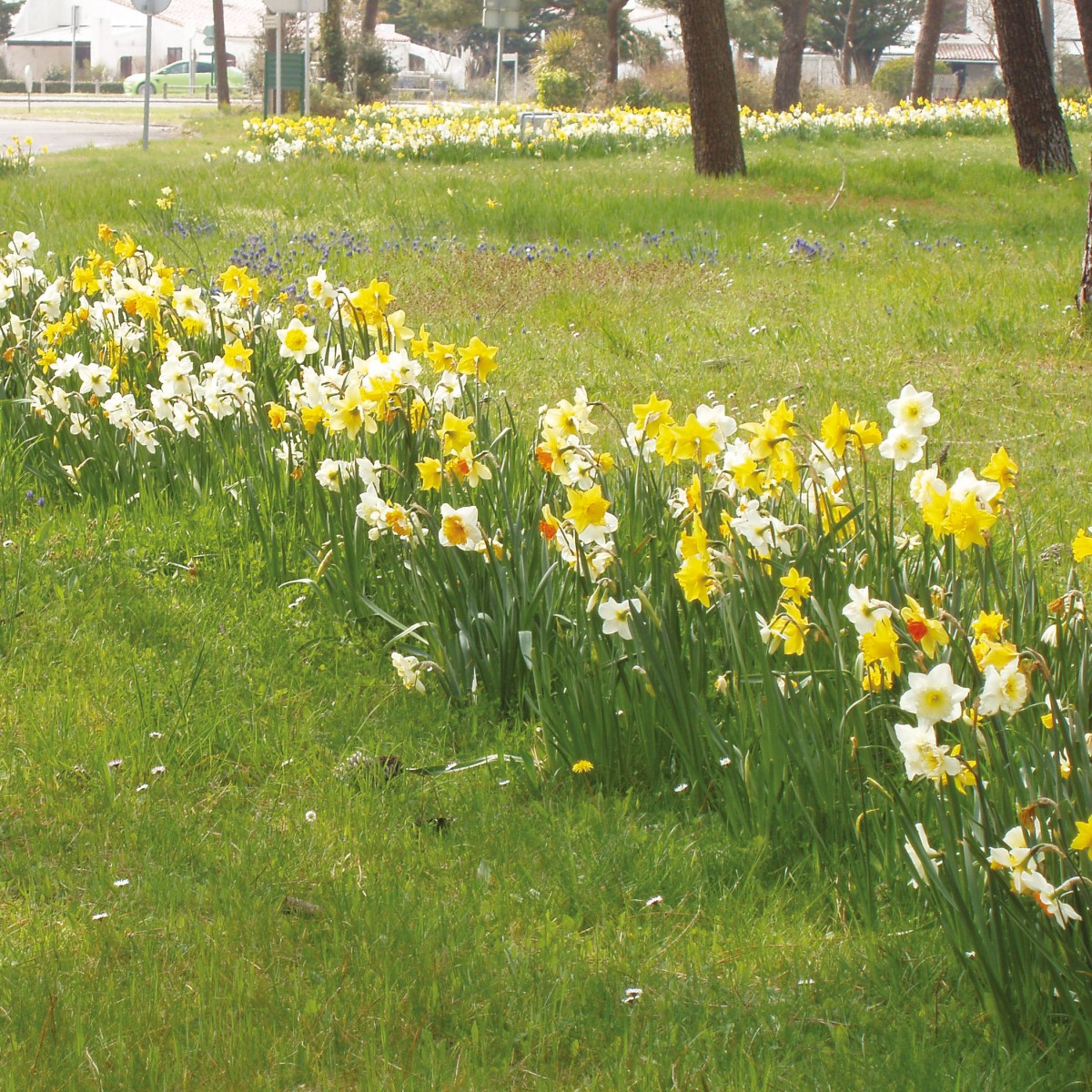 découvrez l'importance de la gestion de l'espace pour optimiser vos projets. apprenez à maximiser chaque mètre carré, que ce soit dans un environnement urbain ou rural, et améliorez votre efficacité en planifiant intelligemment l'utilisation de votre espace.