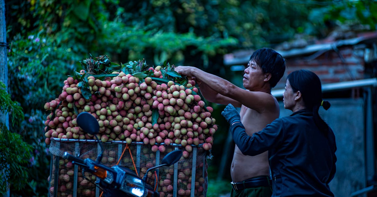 découvrez les meilleures options d'assurance pour motos et protégez votre deux-roues avec des couvertures adaptées à vos besoins. profitez d'un service client exceptionnel et de tarifs compétitifs pour rouler en toute sérénité.