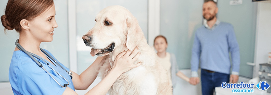 découvrez carrefour auto assurance et faites le bon choix pour protéger votre véhicule. profitez d'offres adaptées à vos besoins, d'une couverture complète et d'un service client à votre écoute. comparez et choisissez la meilleure solution pour votre auto.